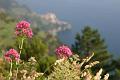 cinque_terre_italie_8242