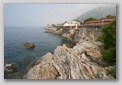 nervi