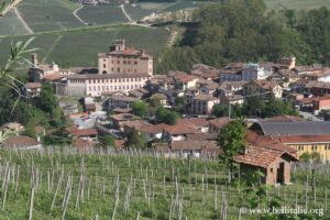 Foto di Barolo nelle Langhe