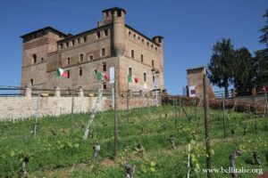 Foto di Grinzane Cavour, Langhe