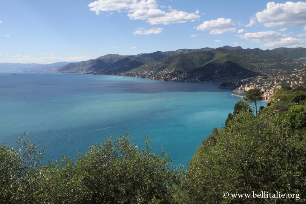 Photo de la côte ligure depuis San Rocco sur le promontoire de Portofino